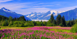 The Mendenhall Glacier Viewpoint in Juneau, Alaska.