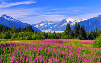 The Mendenhall Glacier Viewpoint in Juneau, Alaska.