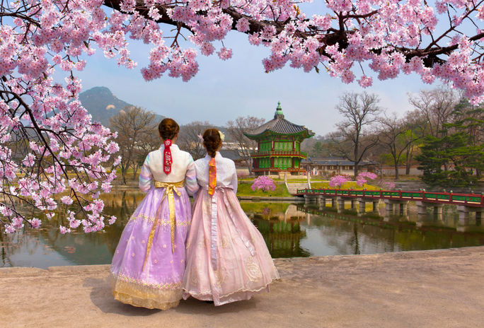 Cherry blossoms at Gyeongbokgung Palace in Seoul, South Korea.