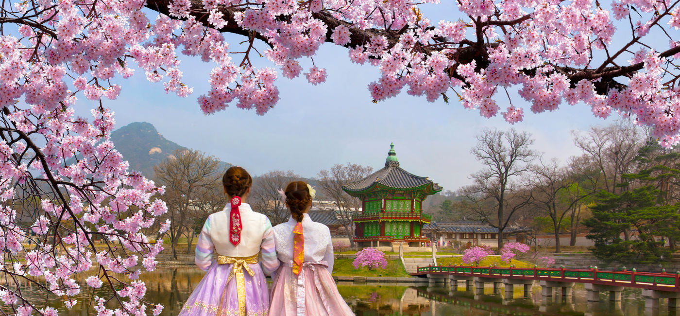 Image: Cherry blossoms at Gyeongbokgung Palace in Seoul, South Korea. (Photo Credit: Adobe Stock/kampon)