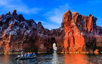 AdventureSmith Explorations is launching two new Baja California itineraries