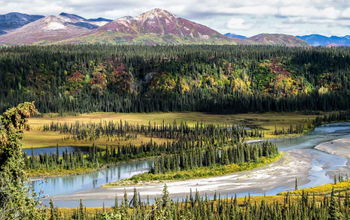 Scenic Alaska viewed on the Denali Backcountry Adventure