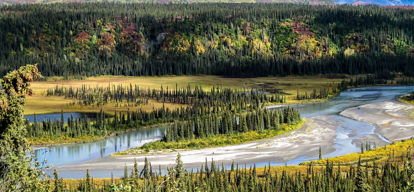 Image: Scenic Alaska viewed on the Denali Backcountry Adventure. (photo courtesy of the Pursuit Collection) (Pursuit)