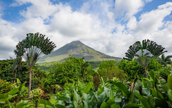 Disney Signature Experiences, National Geographic Expeditions, Arenal Volcano, Costa Rica, Central America, birdwatching, wildlife, conservation, ecology, tours, land, journeys, explorations, rainforests