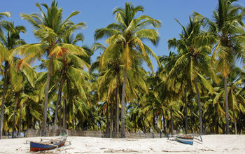 Thinkstock_Mozambique