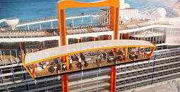 Celebrity Edge Magic Carpet