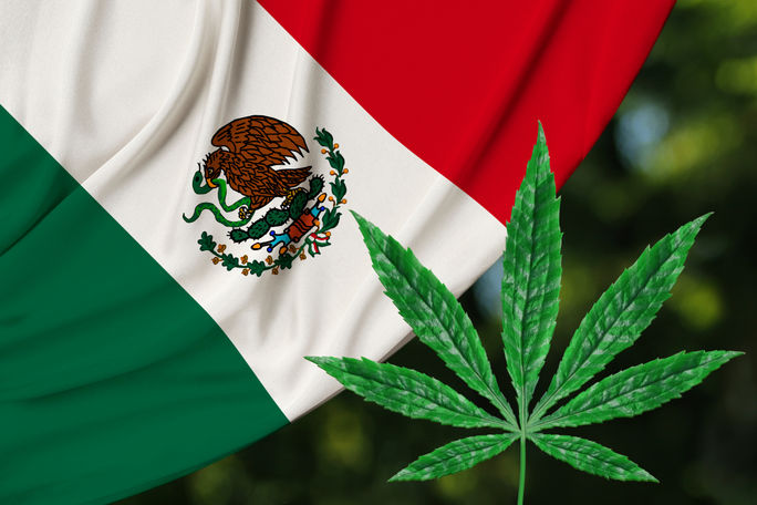 Mexiko-Unkraut, Mexiko-Flaggen-Marihuana, 