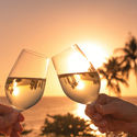 Earn Unlimited Bonus Cash & Free Nights
