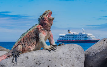 Hurtigruten Galapagos cruises