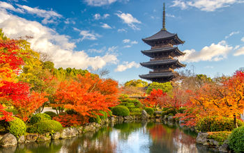 Koyo season in Japan with Solos Travel