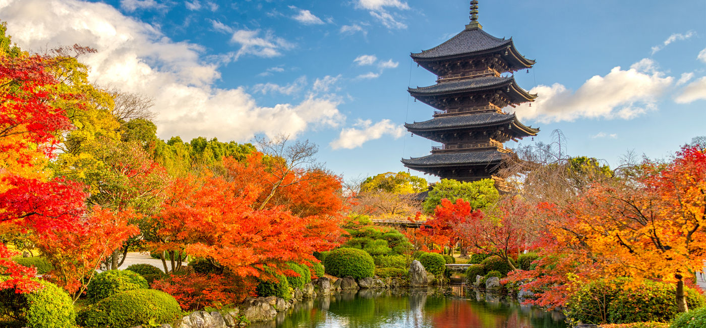 Image: Koyo season in Japan with the travel company Solos, which recently expanded into the U.S. market (Photo Credit: Courtesy Solos)