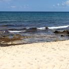 Sargassum on a beach in Riviera Maya, Mexico.