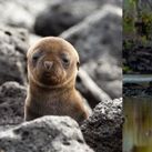 Change the Way You See the World C Save up to $4,000 + $250 Credit