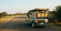 Contiki African Safari trips