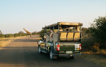 Contiki African Safari trips