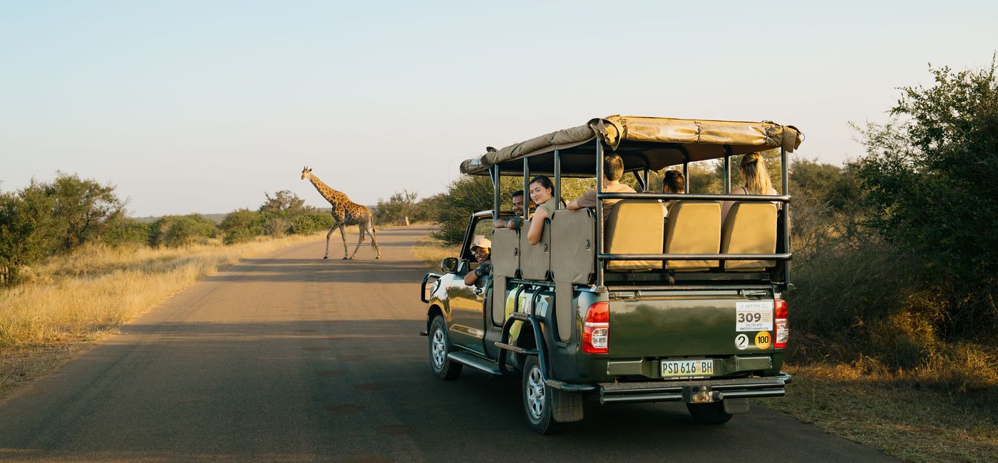 Image: Contiki African Safari trips (Photo Credit: Contiki)