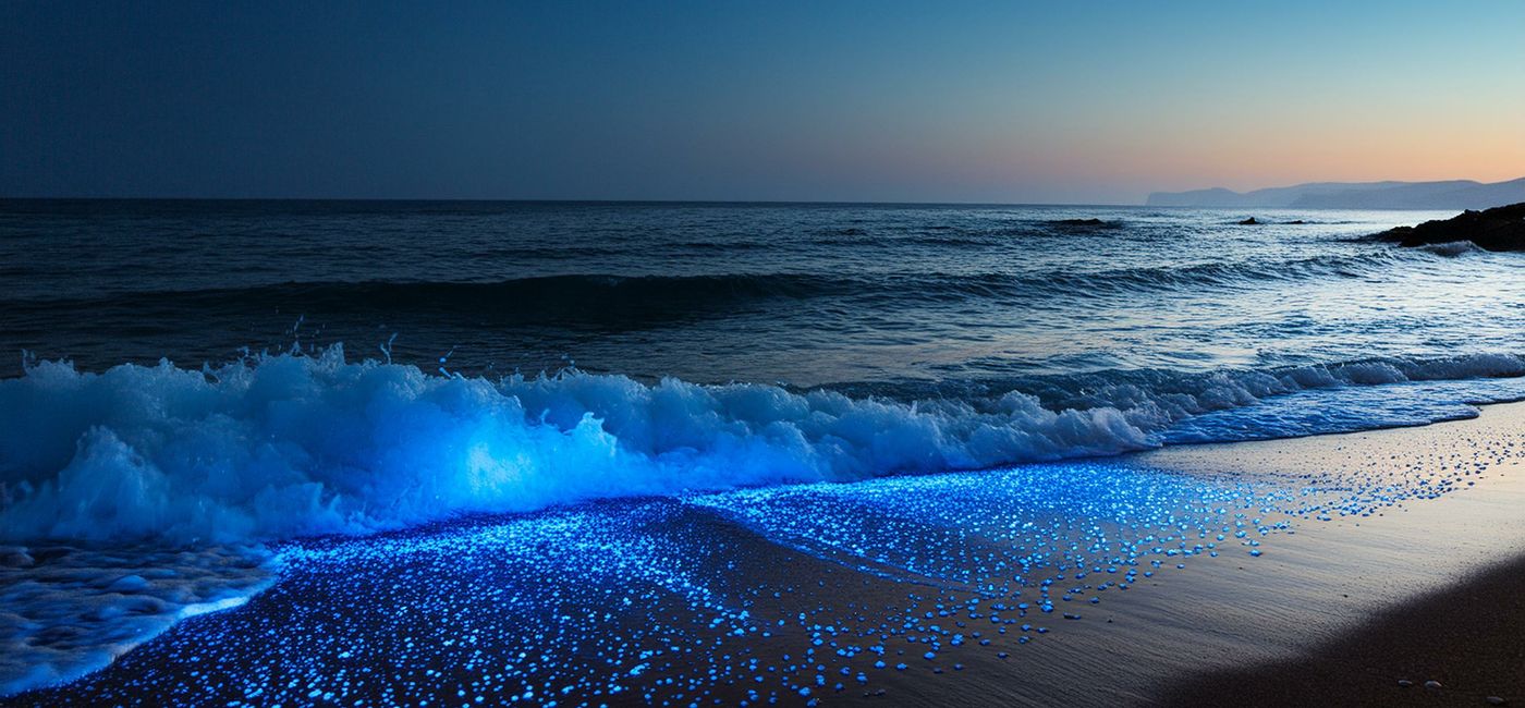 Image: Observing bioluminescent plankton are one of the natural phenomena trips travelers can experience in 2025. (Photo Credit: Courtesy AdobeStock)