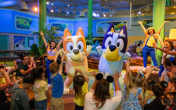Walt Disney World Resort's Cool KIDS' Summer includes Bluey's Wild World at Conservation Station at Disney's Animal Kingdom