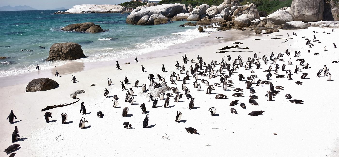 2026 Best of the Beaches Awards