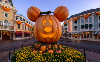 The giant Mickey Mouse Pumpkin during Halloween Time at Disneyland Resort.