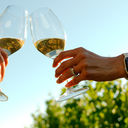 A toast in Valle Guadalupe, Baja California