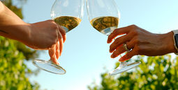 A toast in Valle Guadalupe, Baja California