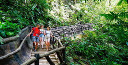 Costa Rica La Fortuna Waterfall Group Walking Leader