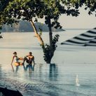 American Express and ALL Accor
