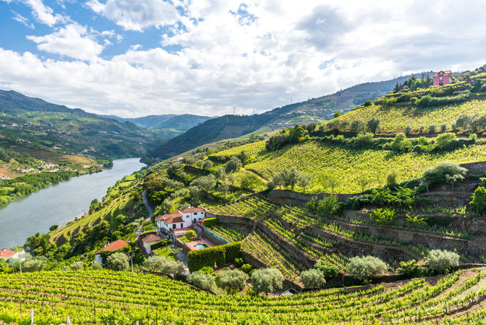 Douro Valley, Portugal.