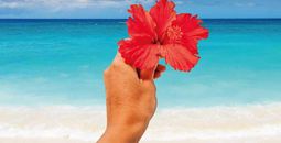 Get away this spring with up to 40% savings