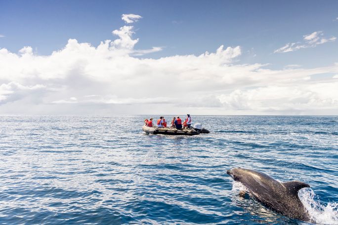 Animals were the stars of HX's recent FAM trips in the Galápagos