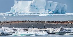 AdventureSmith Explorations has new itineraries in Antarctica