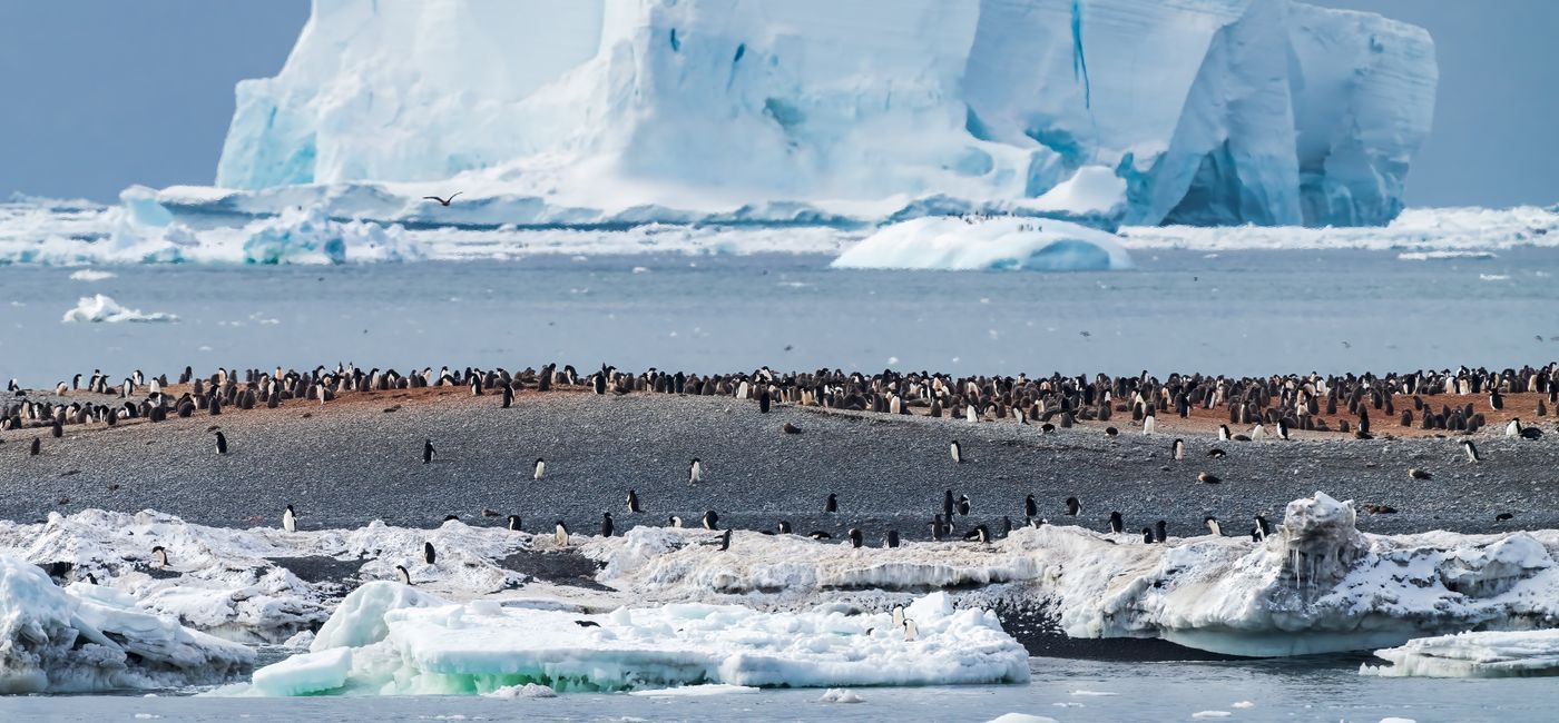 Image: AdventureSmith Explorations has new itineraries in Antarctica (Photo Credit: AdventureSmith Explorations)