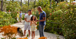 Butterfly World in Coconut Creek, Greater Fort Lauderdale, Florida