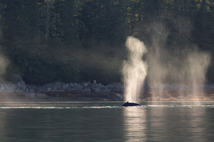Southeast Alaska Southeast Alaska