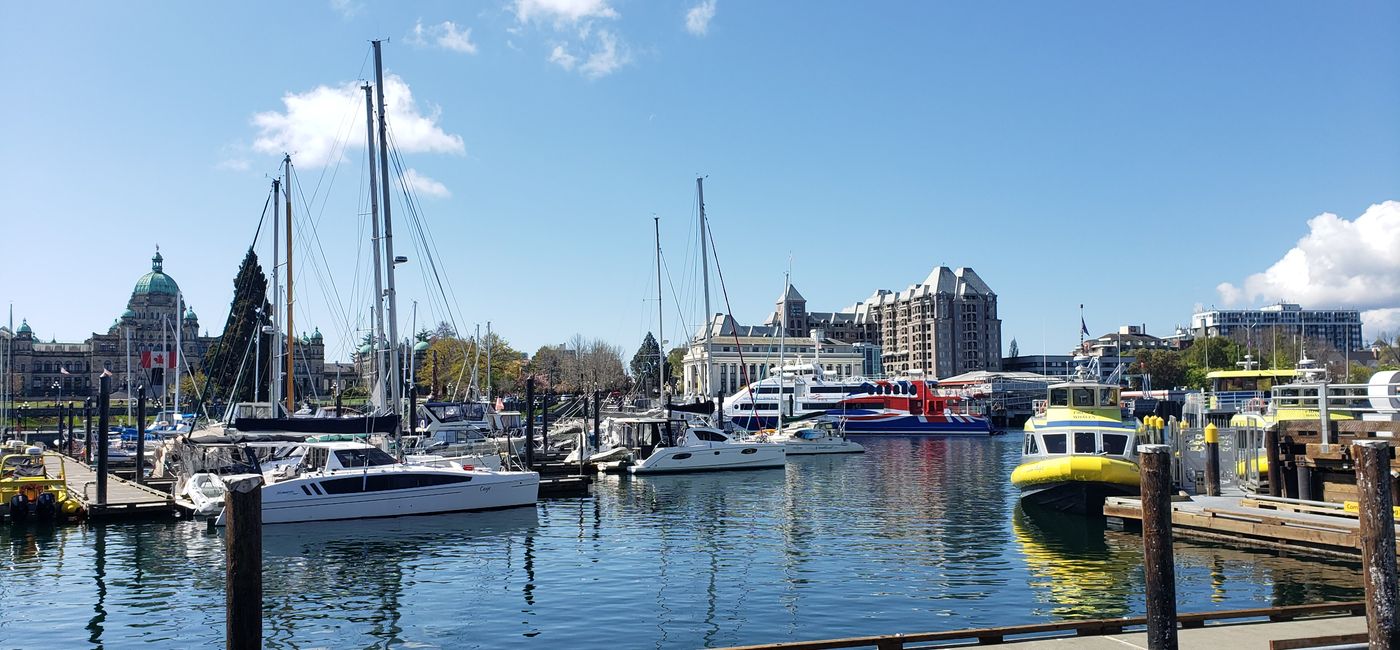 Image: Victoria's Inner Harbour (Photo Credit: Jen Mallia)