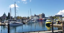 Victoria Harbour