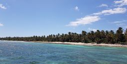Bavaro coast Dominican Republic