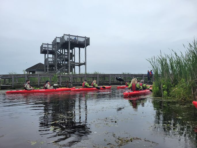 Eine Kajak -Expedition im Point Pelee National Park in Kanada mit Wikinger. Lacey Pfalz, Kajakfahren, Point Pelee, Nationalparks in Kanada, kanadische Nationalparks, Wikingerkreuzfahrten