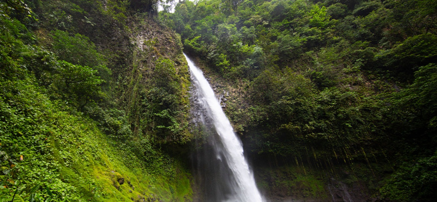 Image:  (Photo Credit: Travel Agent Academy)