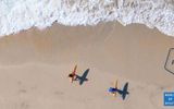 Kids Stay & Eat Free + Big Family Vacation Savings