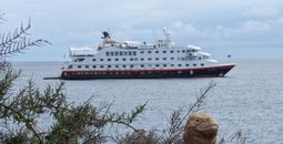 A land iguana poses in front of the MS Santa Cruz II on Santa Fe Island