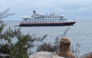 A land iguana poses in front of the MS Santa Cruz II on Santa Fe Island
