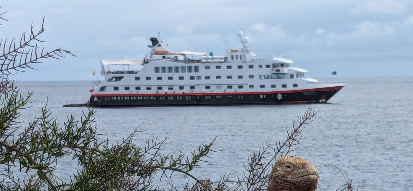 Image: A land iguana poses in front of the MS Santa Cruz II on Santa Fe Island during an HX expedition cruise in the Galápagos Islands (Photo Credit: Sarah Kuta)