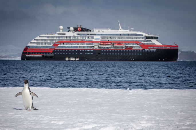 MS Roald Amundsen, Antarctica, expedition cruises, Hurtigruten, penguins