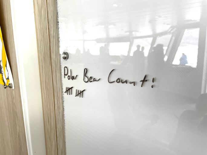 Polar bear sightings were a major highlight of the voyage