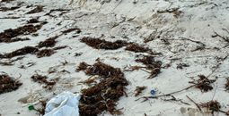 Plastic on the beach in Turks and Caicos