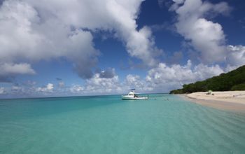 Buck Island, St. Croix, USVI