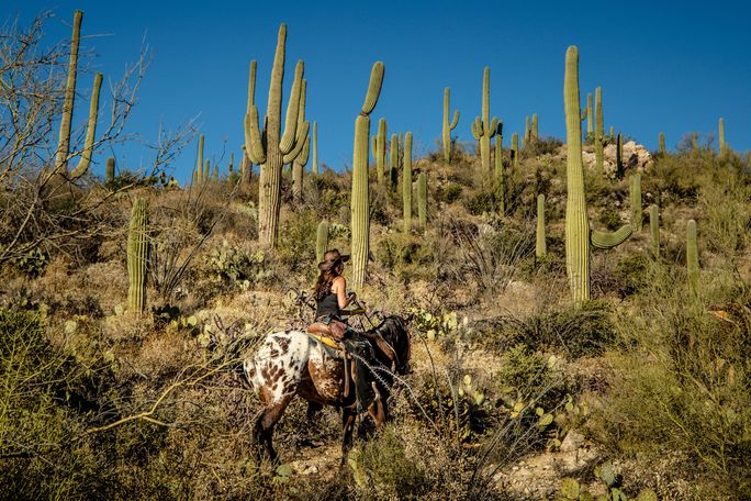 Tanque Verde Ranch in Tucson, Arizona. Tanque Verde Ranch in Tucson, Arizona.