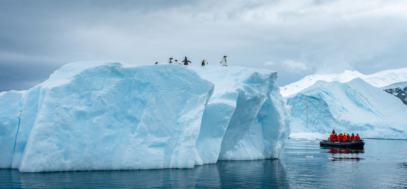 Image: HX guests in Neko Harbour, Antarctica. Photo: Yuri Matisse Choufour. (Photo Credit: HX)